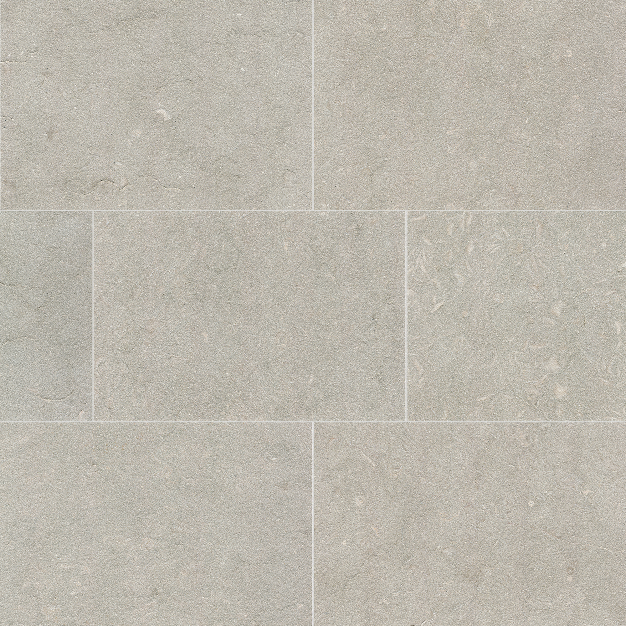 Ackland Coastline Sandblast Limestone Pool Coping — 16in. x 24in., Light Gray and Green, Model# NTE-LSC-106